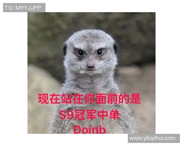 王者荣耀焦点FPX个人能力分析与战术应用探讨实时新闻